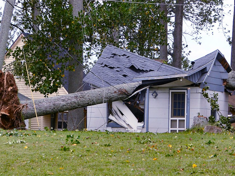 Wind and hail storm damage